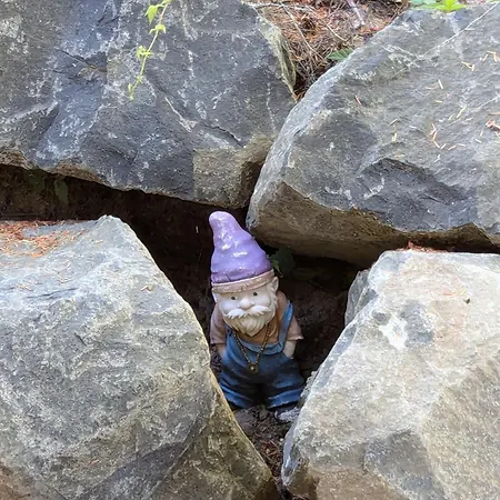 Gnome Home Packwood Exterior foto