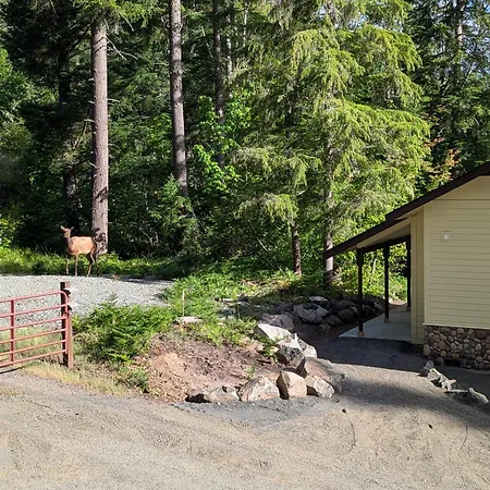 Gnome Home Packwood Exterior foto
